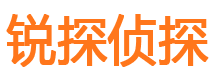 定州外遇出轨调查取证